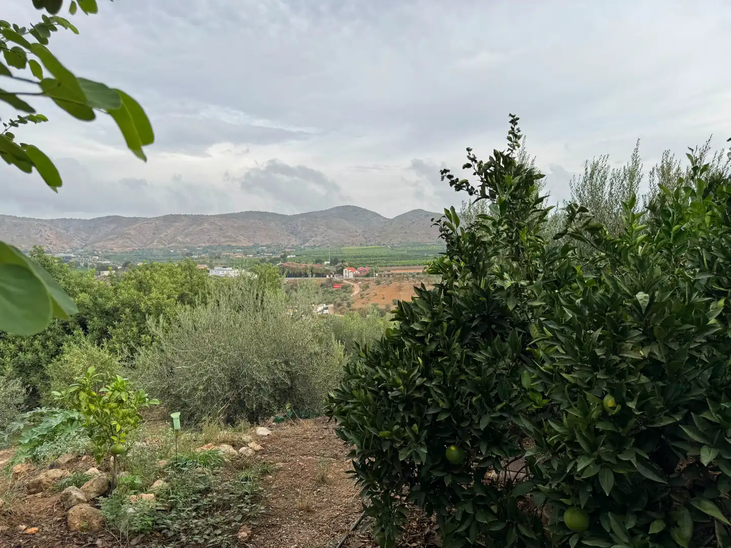 Landhaus mit Garten zum Verkauf in Alquería - Torrealquería, imagen 47