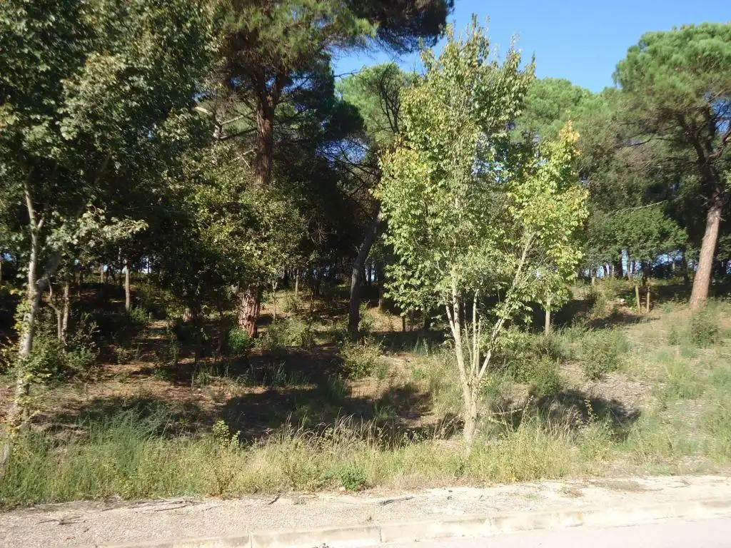 Residential zum Verkauf in Avinguda del Golf, Vallromanes