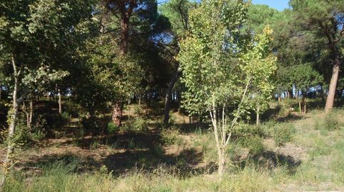 Photo 3 of Residential for sale in Avinguda del Golf, Vallromanes, Barcelona