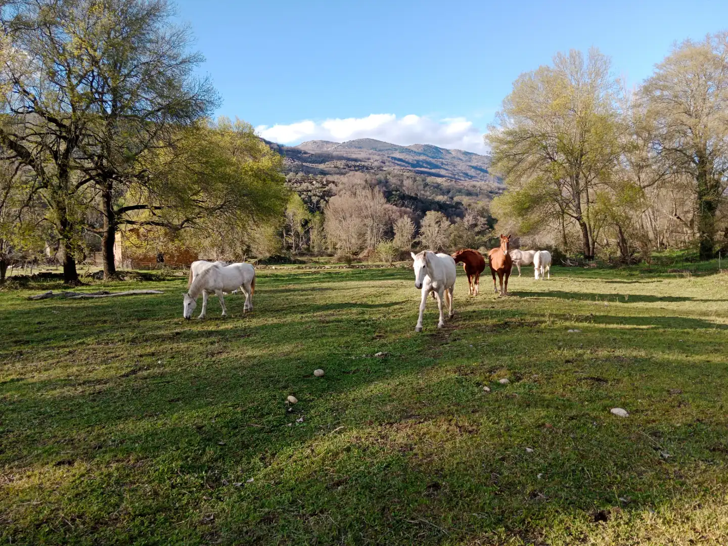 Vista exterior de Terreno en venta en El Torno 
