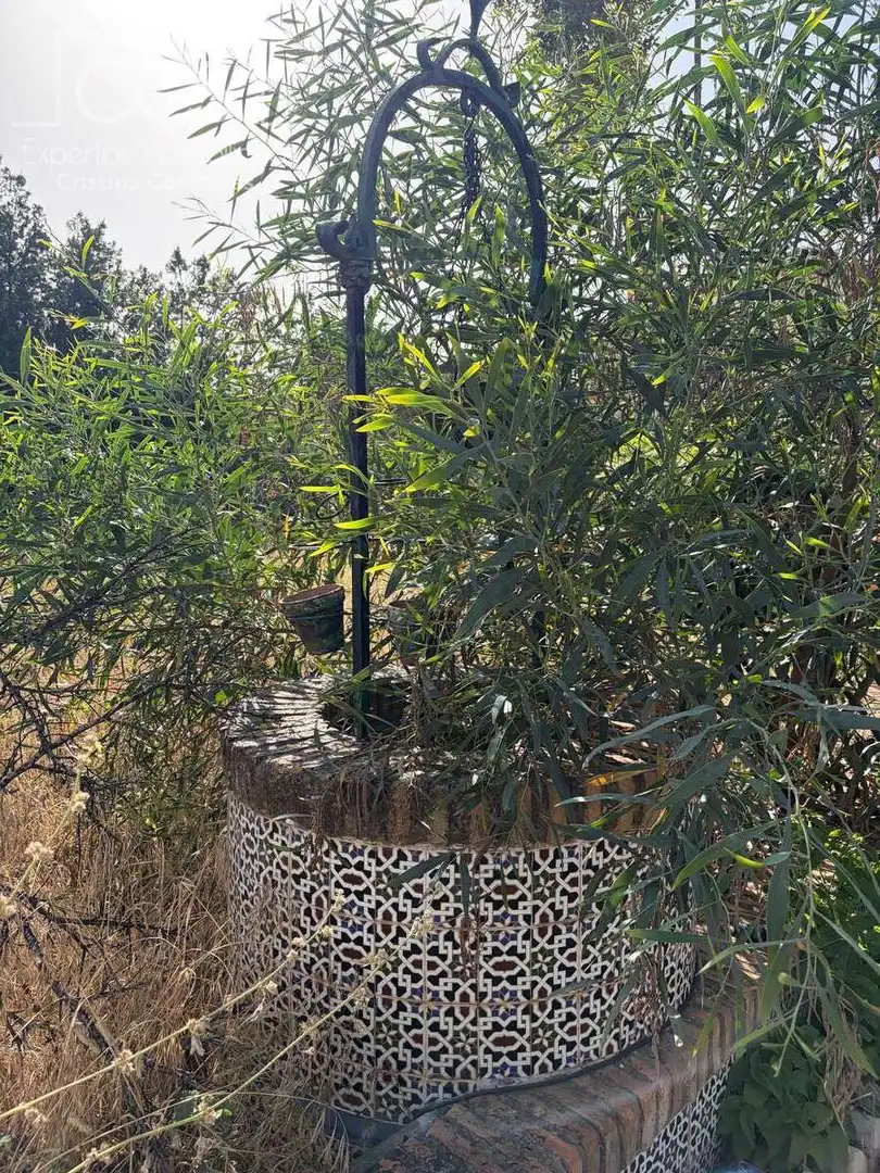 Jardí de Casa o xalet en venda en Mairena del Alcor amb Aire condicionat, Traster i Piscina