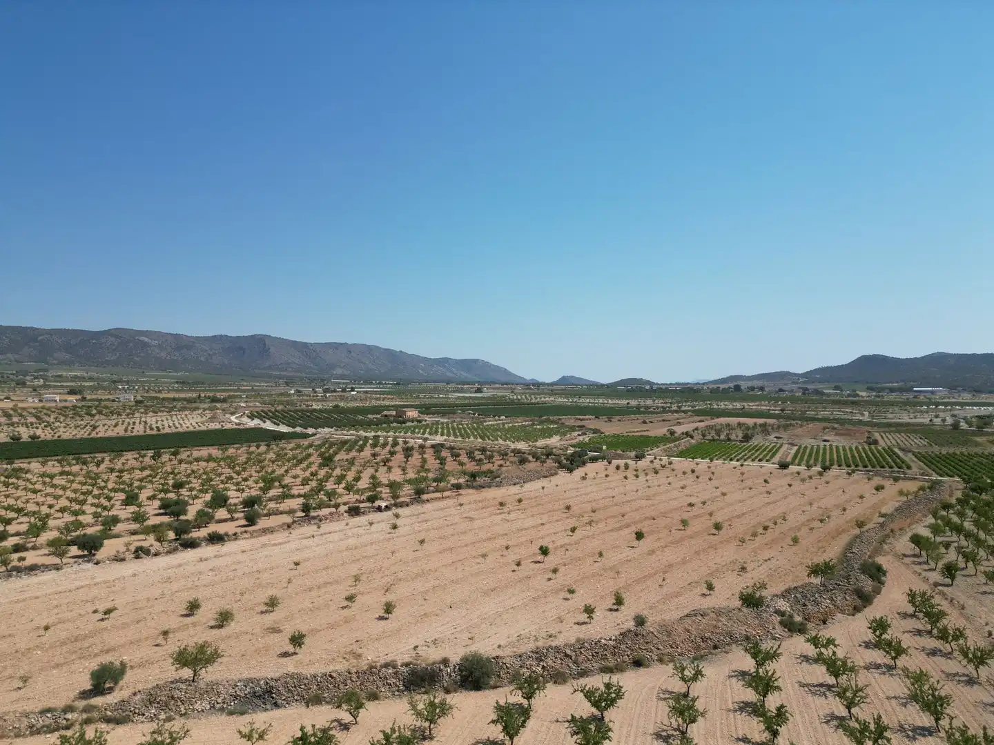 Terreno residencial en venta en El Pinós / Pinoso, imagen 6