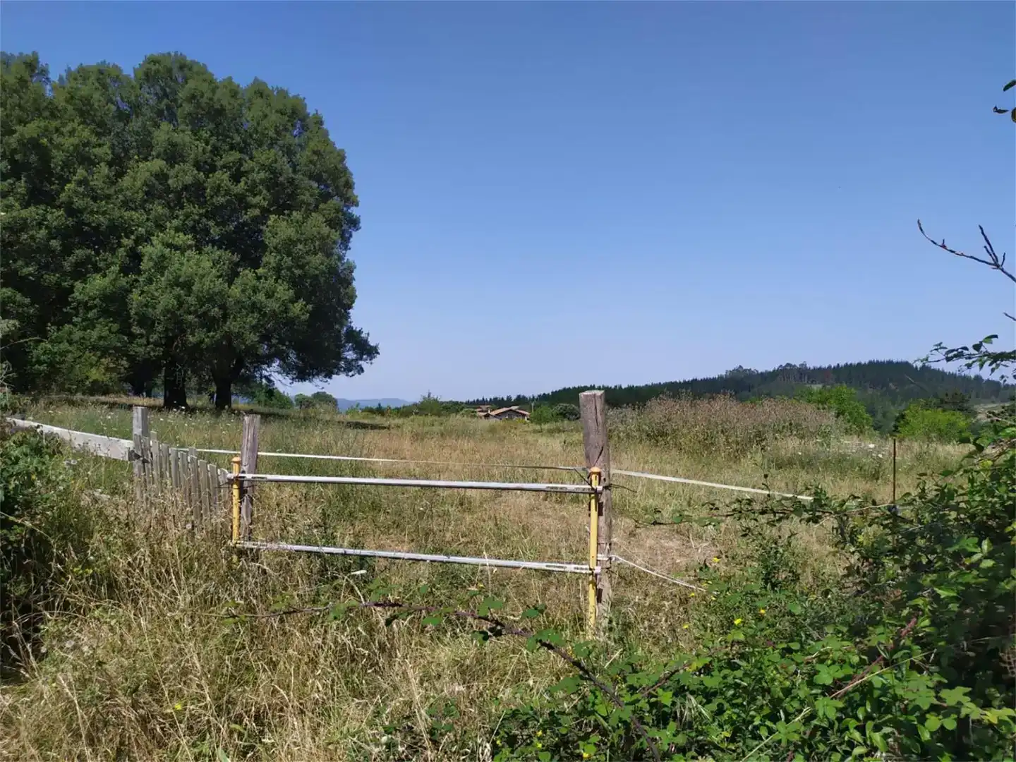 Grundstücke zum Verkauf in Morga