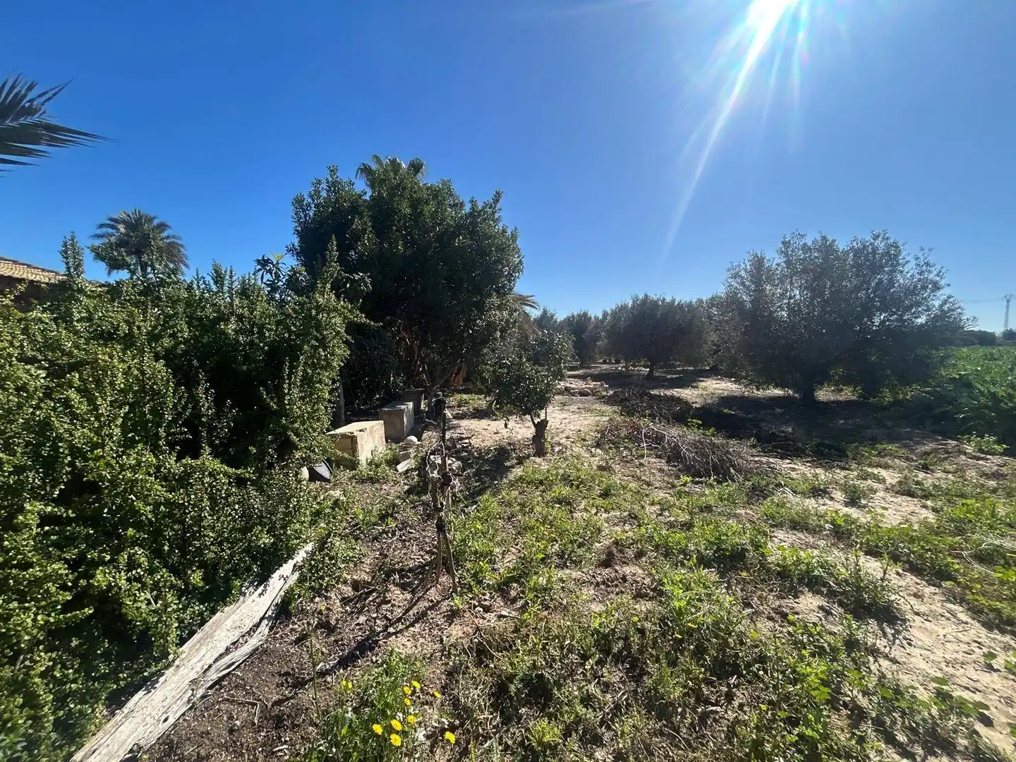 Villa avec jardin à vendre à Polígono Poligono 1, imagen 38