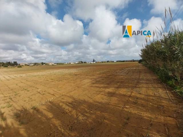 Terreno en Venta en Roche