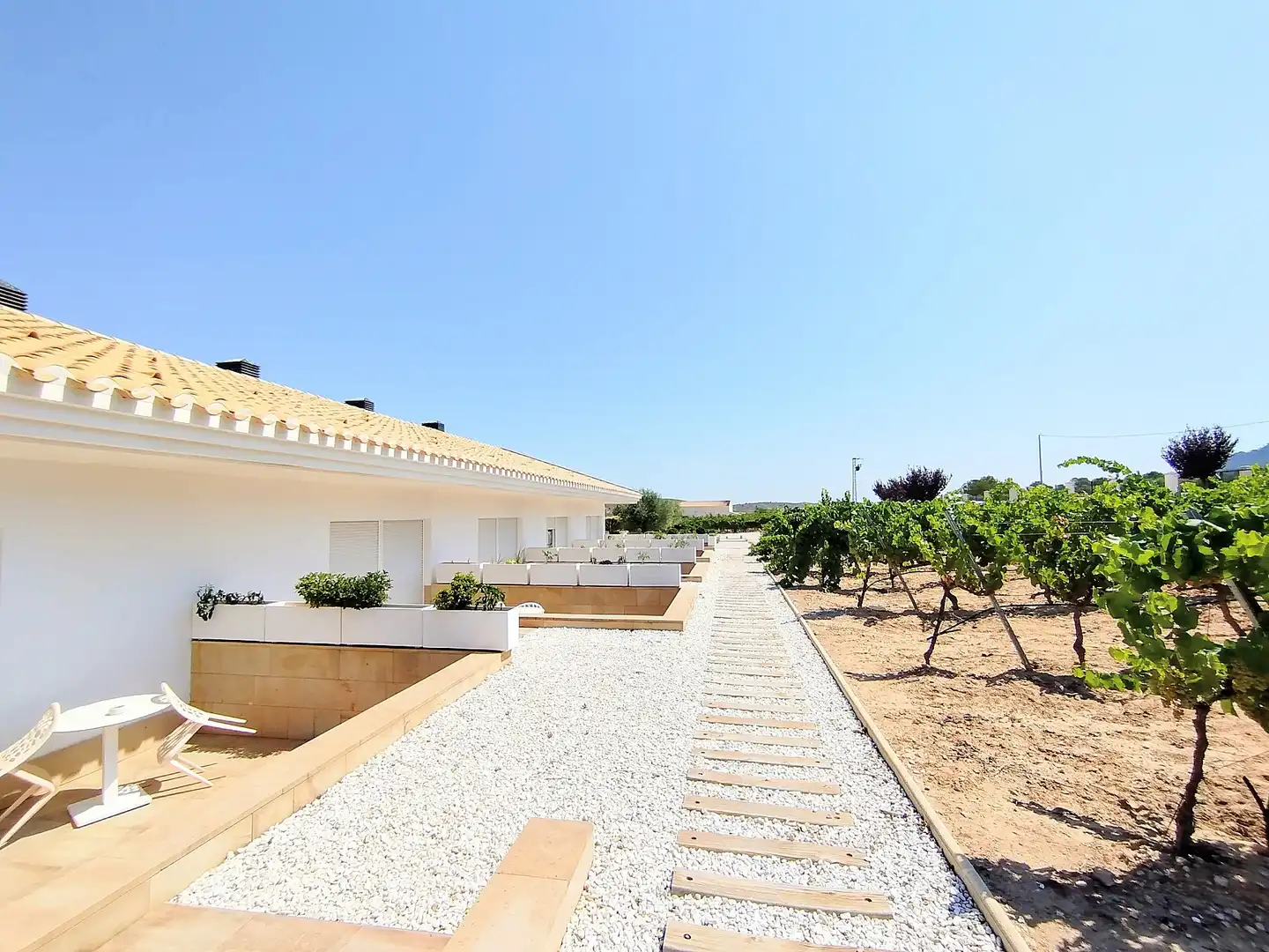 Jardí de Finca rústica en venda en Yecla amb Aire condicionat i Terrassa
