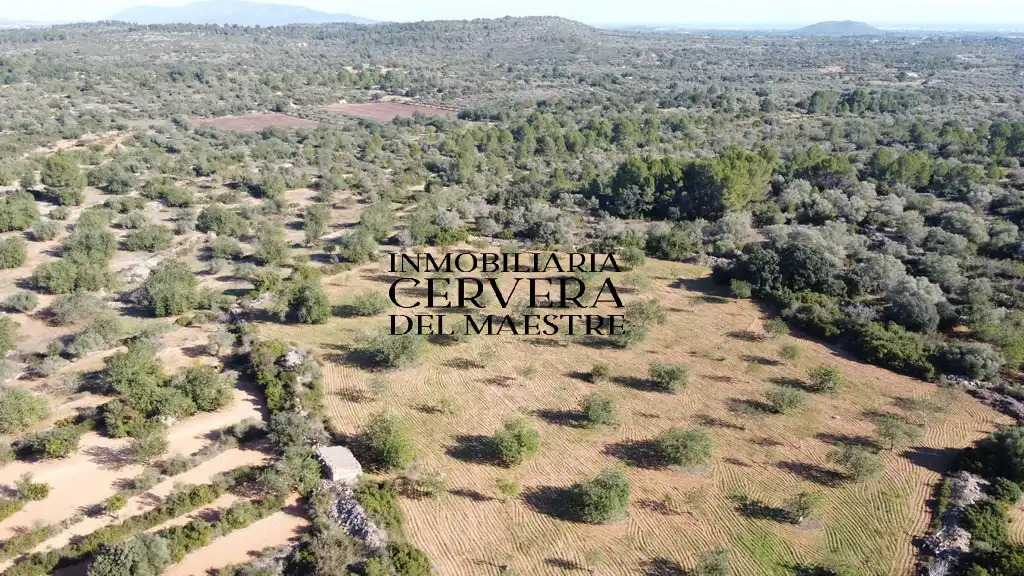 Terreno rustico in vendita a Cervera del Maestre, imagen 29