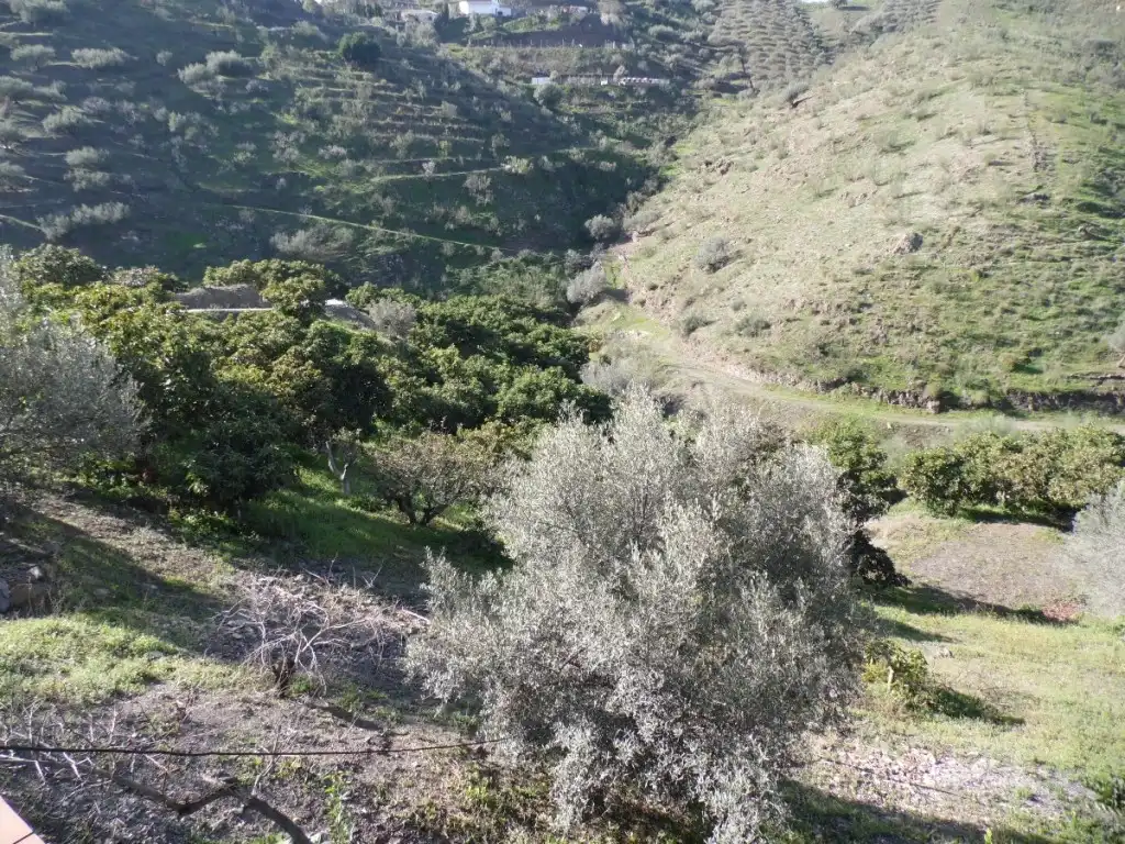 Casa rustica con giardino in vendita a Viñuela, imagen 19