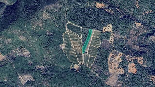Terreno en Venta en Partida Sanchils en L'Alcora