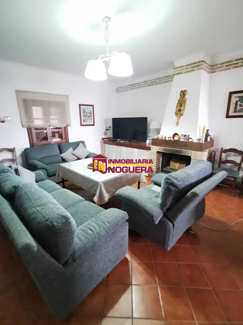 Sala d'estar de Casa o xalet en venda en Écija amb Aire condicionat, Terrassa i Traster