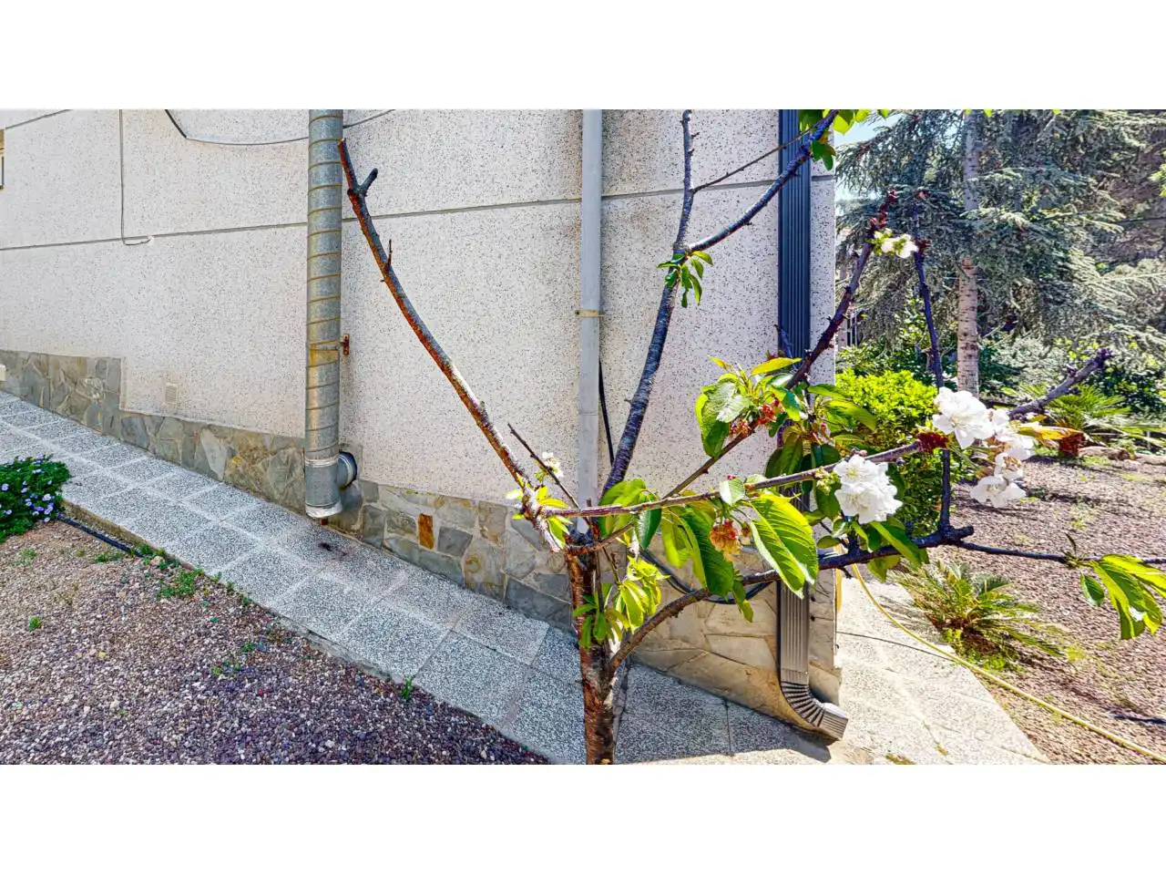 Haus oder Chalet zum Verkauf in Calle Eugeni Valero Ramo, 43, Corbera de Llobregat
