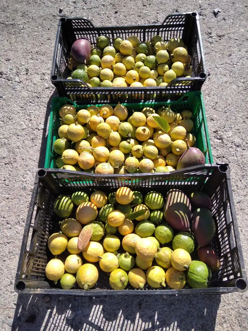 Terreni e lotti in vendita a PHPX+WF Gualchos, Spain, imagen 51