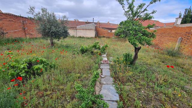 Casa-chalet en Venta en Calle Félix Rodríguez de la Fuente, 28 en Villaralbo