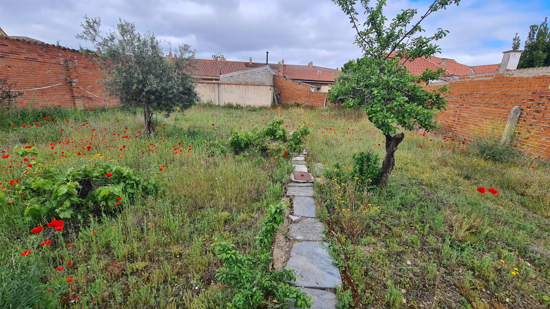 Casa con terraza en venta en Calle Félix Rodríguez de la Fuente 28
