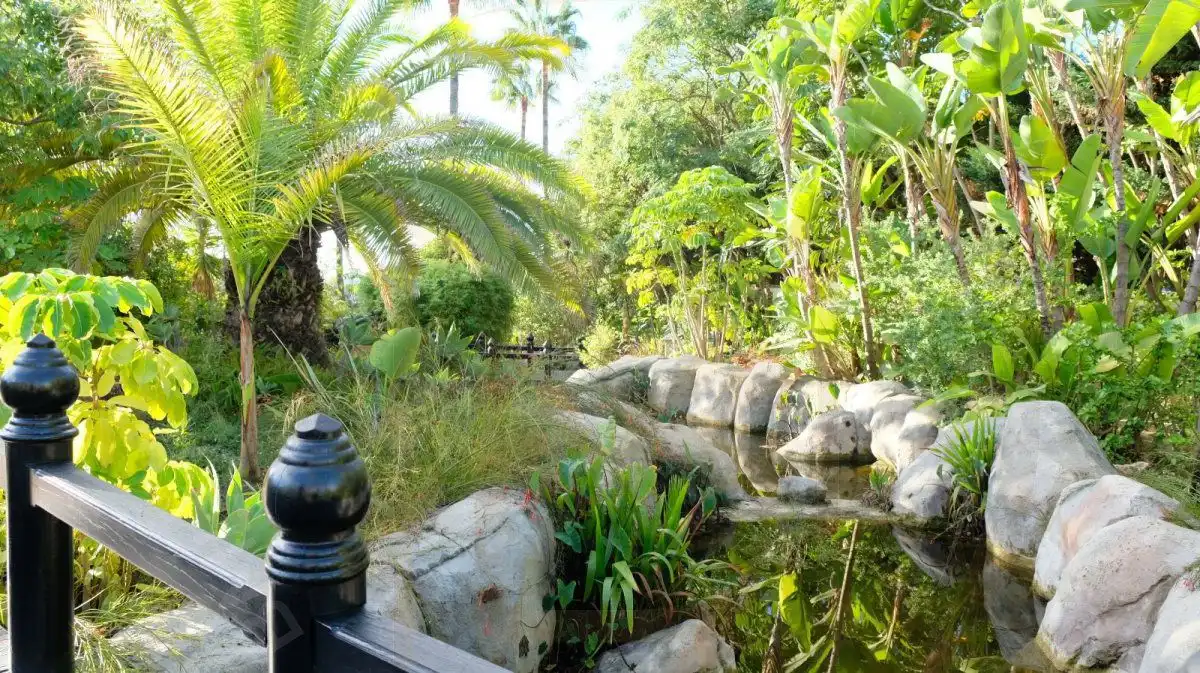 Jardín de Dúplex de alquiler en Marbella con Terraza, Trastero y Piscina