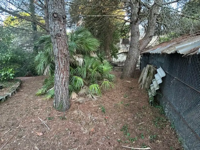 Terreno residencial en venta en Carrer Turó de Monfort 51, imagen 17