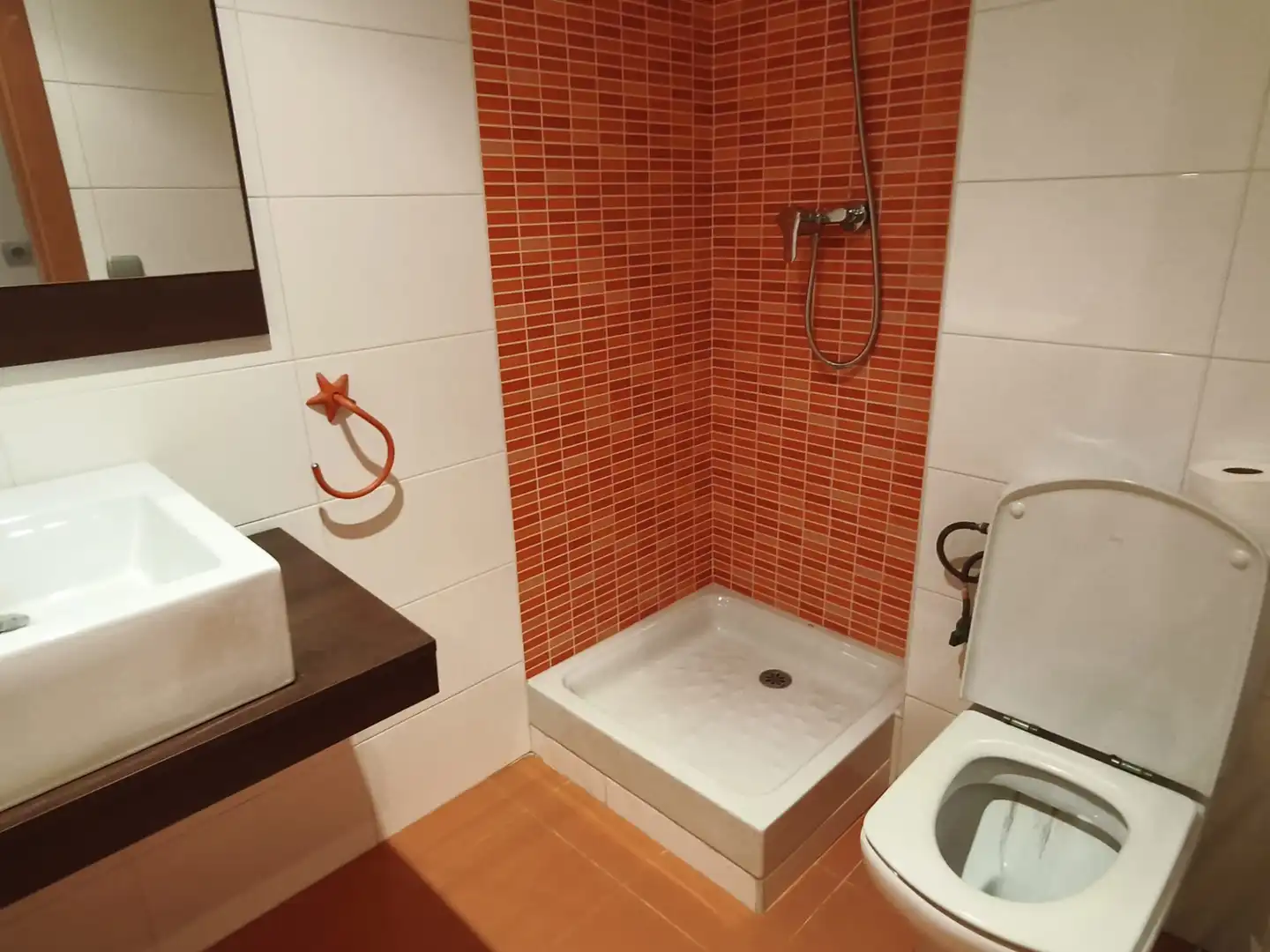 Piso con terraza en venta en Carrer Doctor Borràs 19, imagen 10