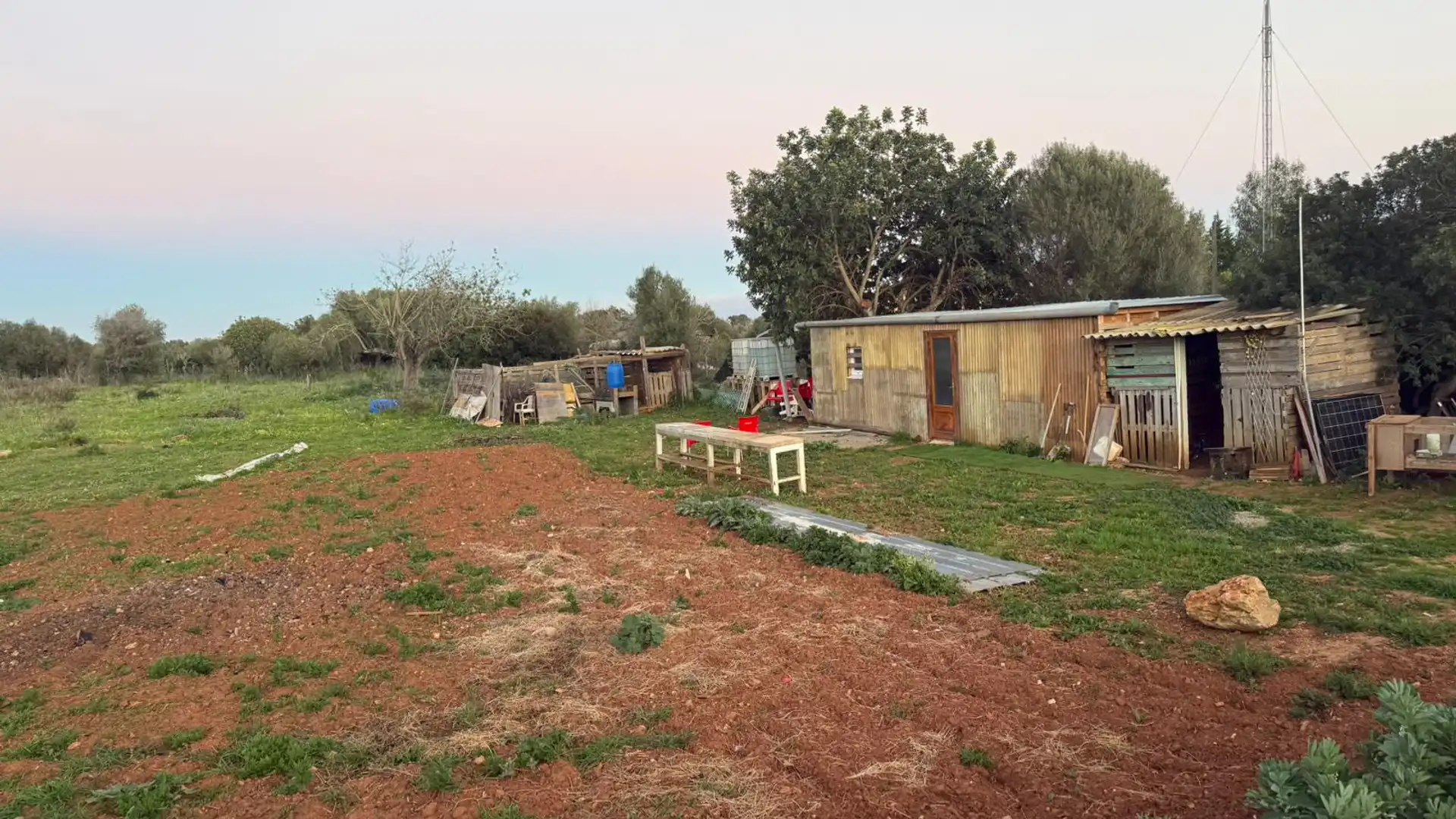 Terreno en venta en Manacor