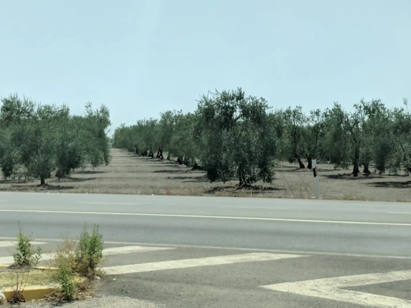 Terreni e lotti in vendita a Carretera Carmona 52, imagen 14