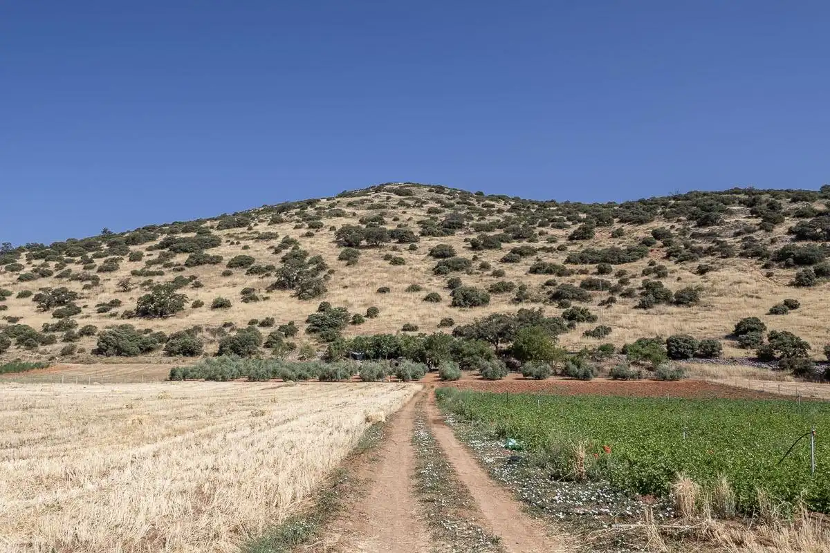 Land for sale in Montefrío
