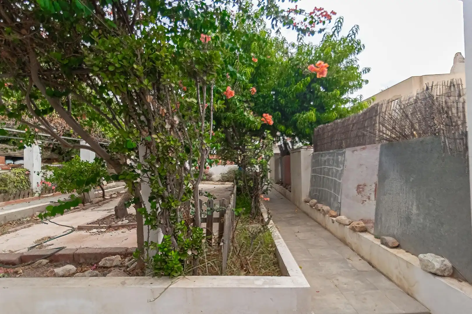 Vista exterior de Casa o chalet en venta en Cartagena con Terraza