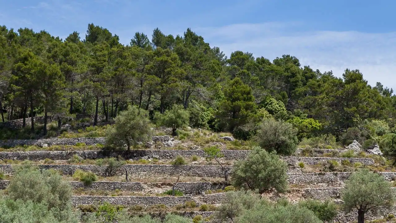 Finca rústica en venta en Escorca con Jardín privado, Terraza y Trastero