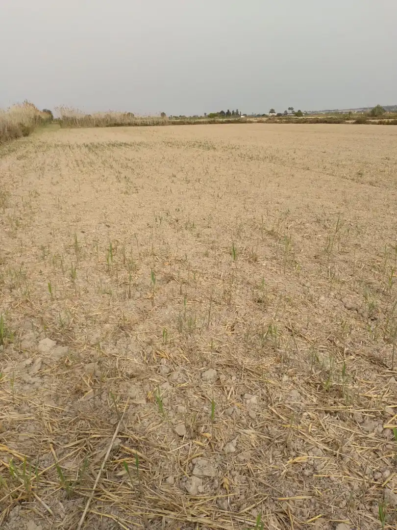 Terreno en venta en Elche / Elx