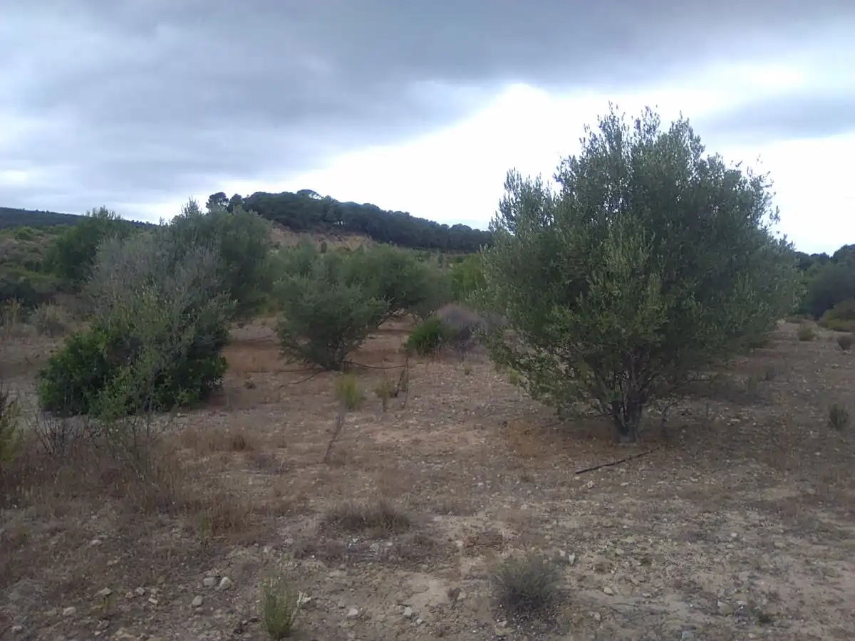 Casa rústica en venta en Algímia de Alfara, imagen 10