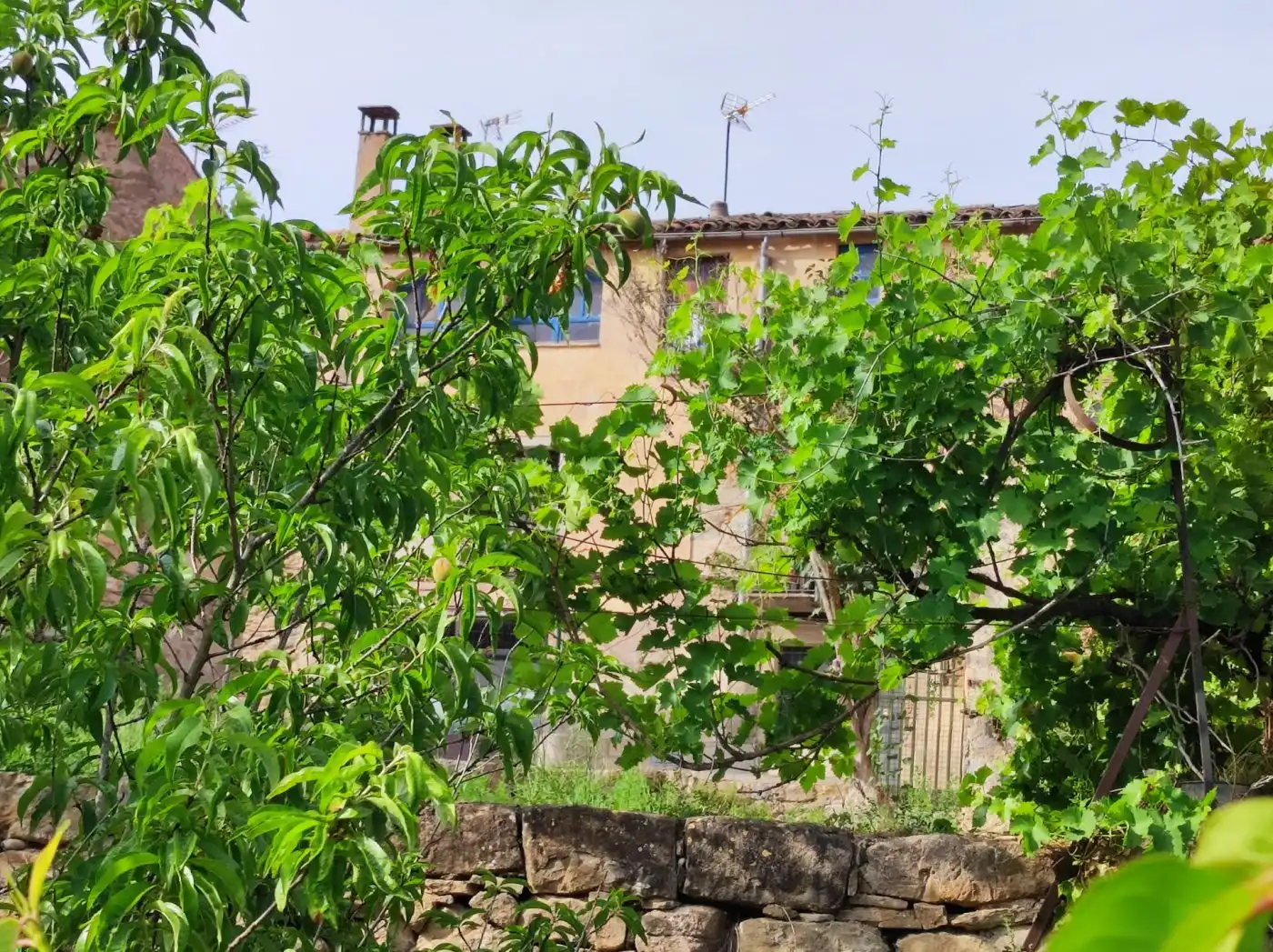House with terrace for sale in Monistrol de Calders, imagen 38