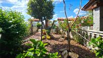Jardí de Casa o xalet en venda en Barbadás amb Calefacció, Jardí privat i Terrassa