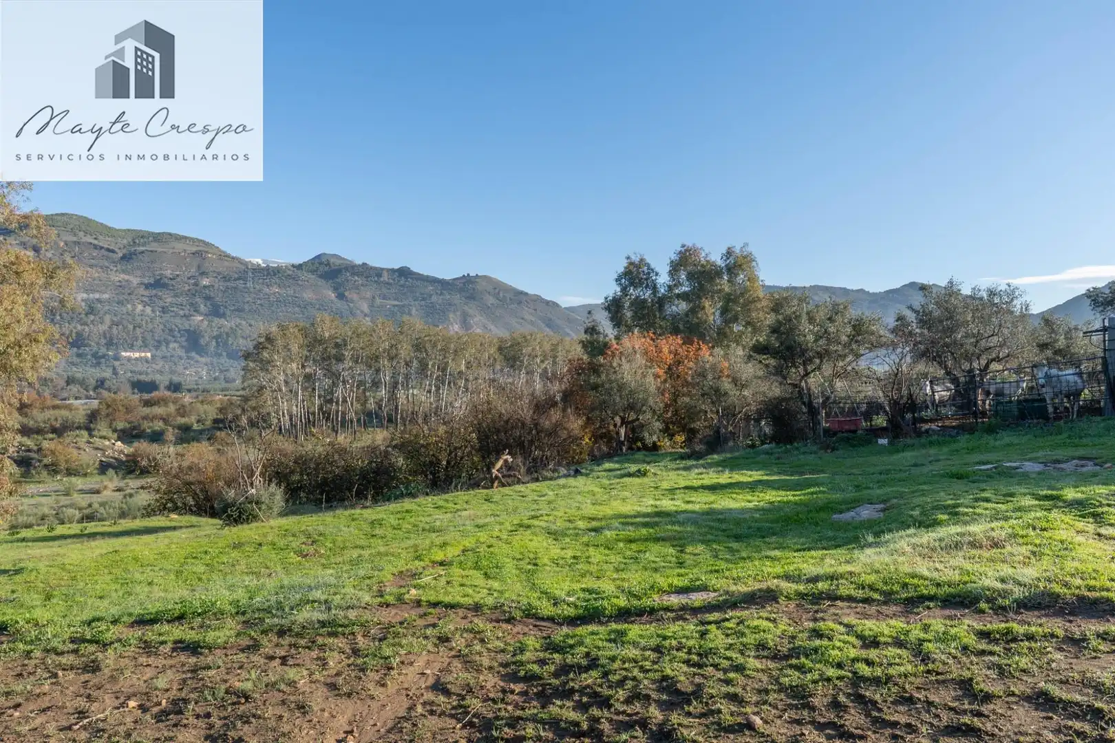 Rural land for sale in Órgiva, imagen 3