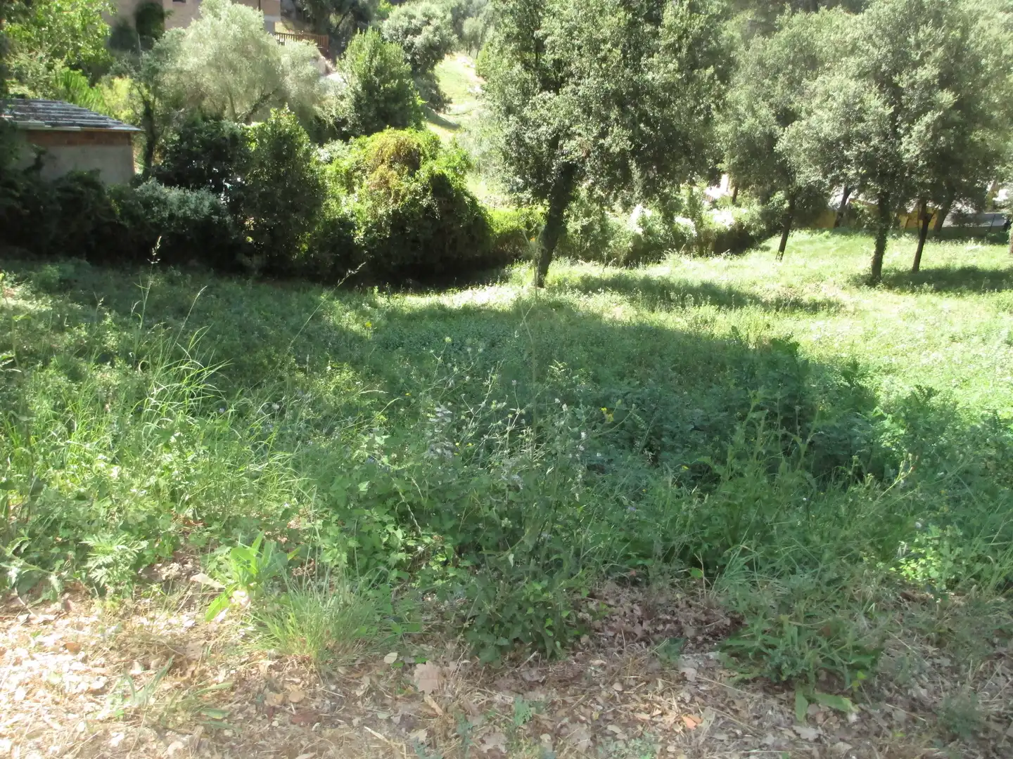 Residential for sale in Santa Maria de Palautordera