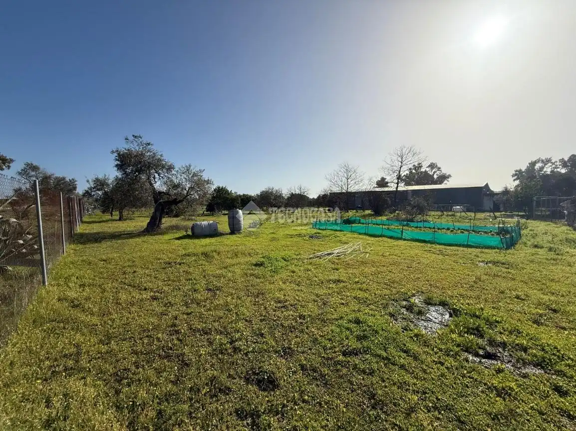 Terreno en venta en Arahal