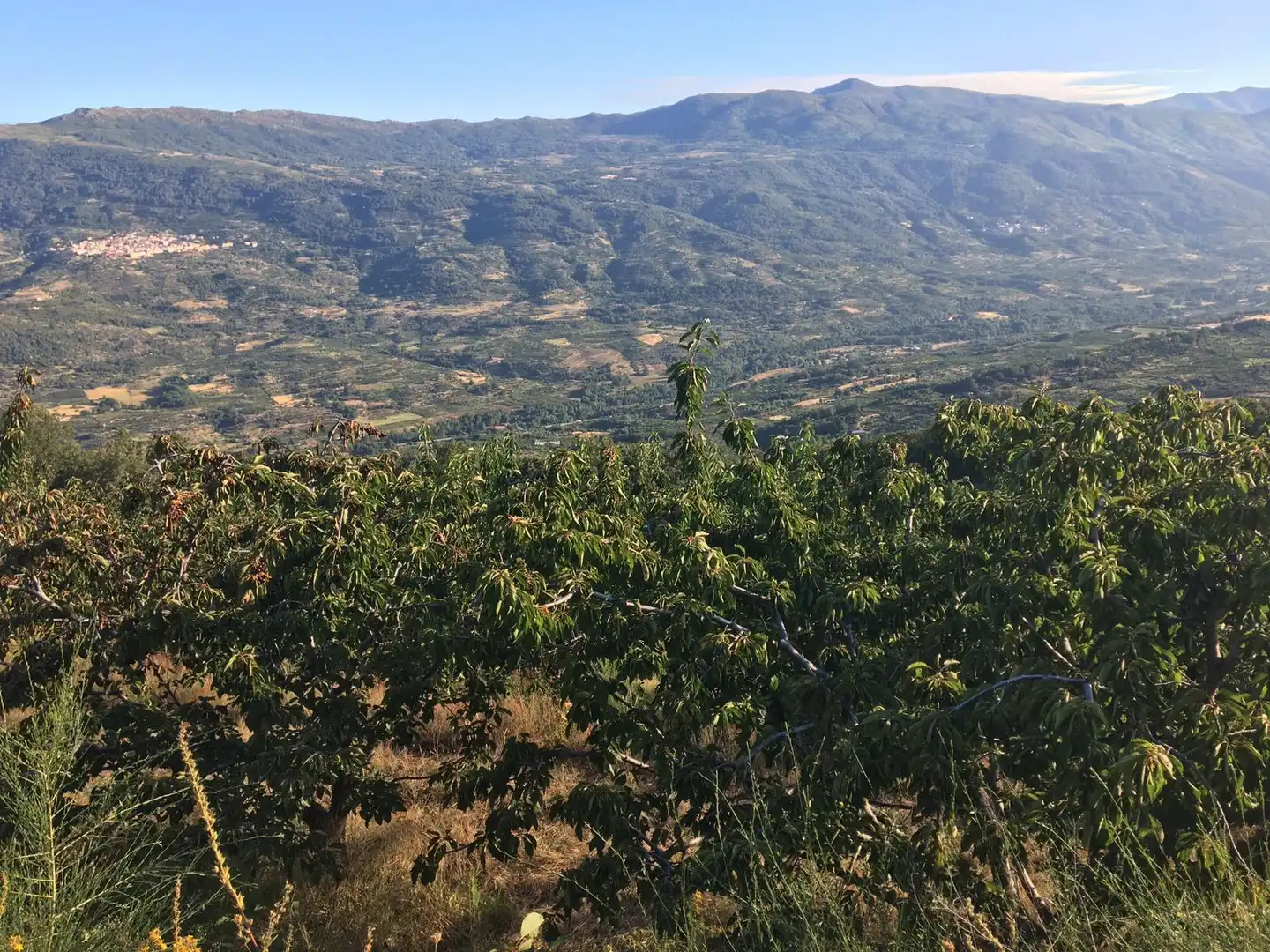 Terreni e lotti in vendita a Casas del Castañar, imagen 10