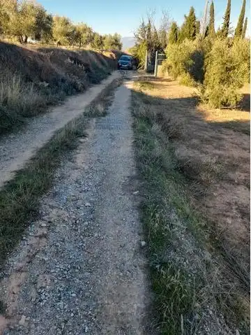 Terreny rústic en venda a Cogollos de la Vega, imagen 6