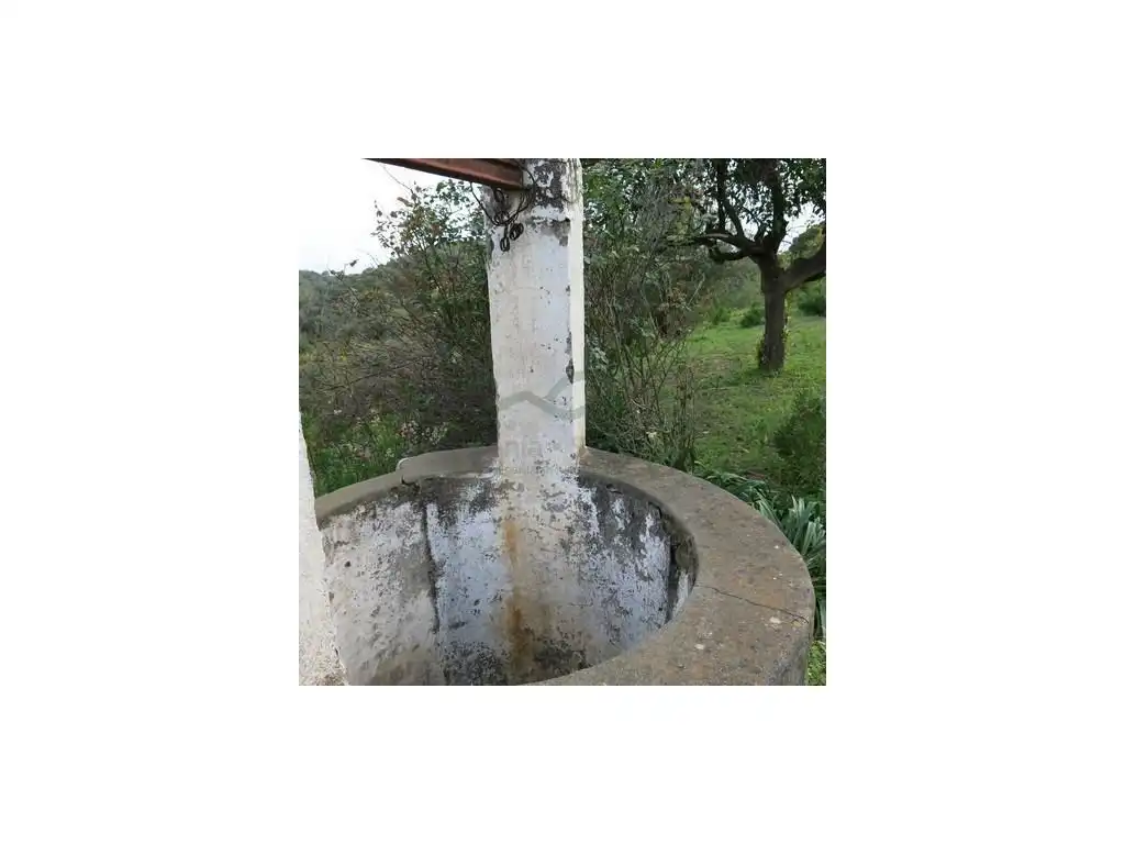Jardín de Finca rústica en venta en Estepona