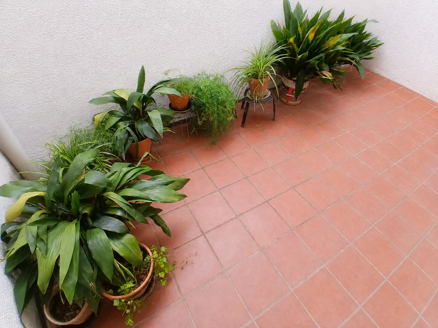 Terrassa de Finca rústica en venda en Calatorao amb Jardí privat, Terrassa i Moblat
