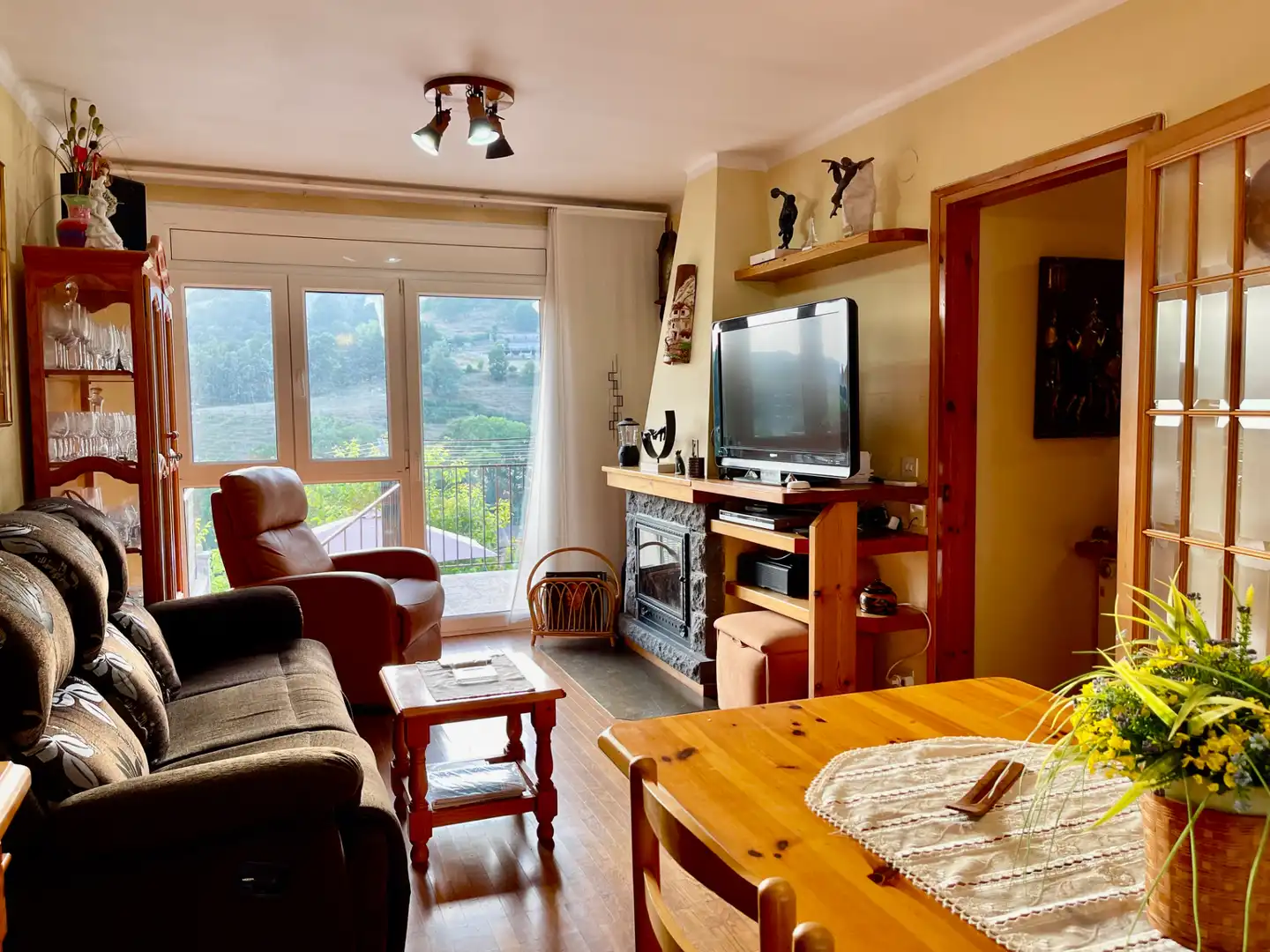 Sala de estar de Casa o chalet en venta en Sant Pau de Segúries con Aire acondicionado, Jardín privado y Terraza