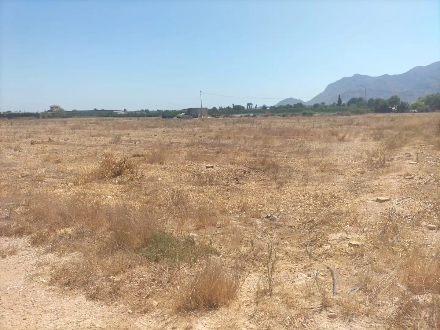 Rural land for sale in La Murada - Los Vicentes, imagen 13