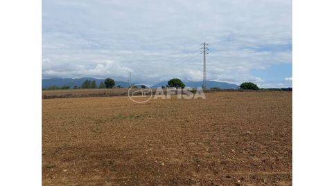 Terreno rústico en venta en Cardedeu, immagine 2