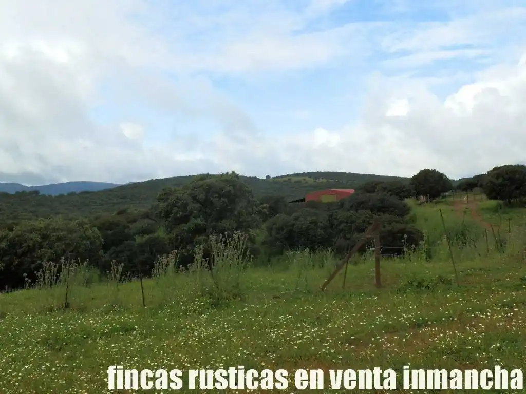 Terreno rústico en venta en Abenójar, imagen 7