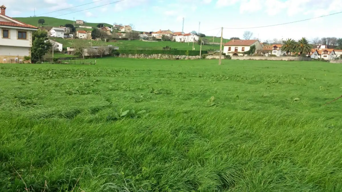Terreno residenziale in vendita a Bareyo pueblo, imagen 6