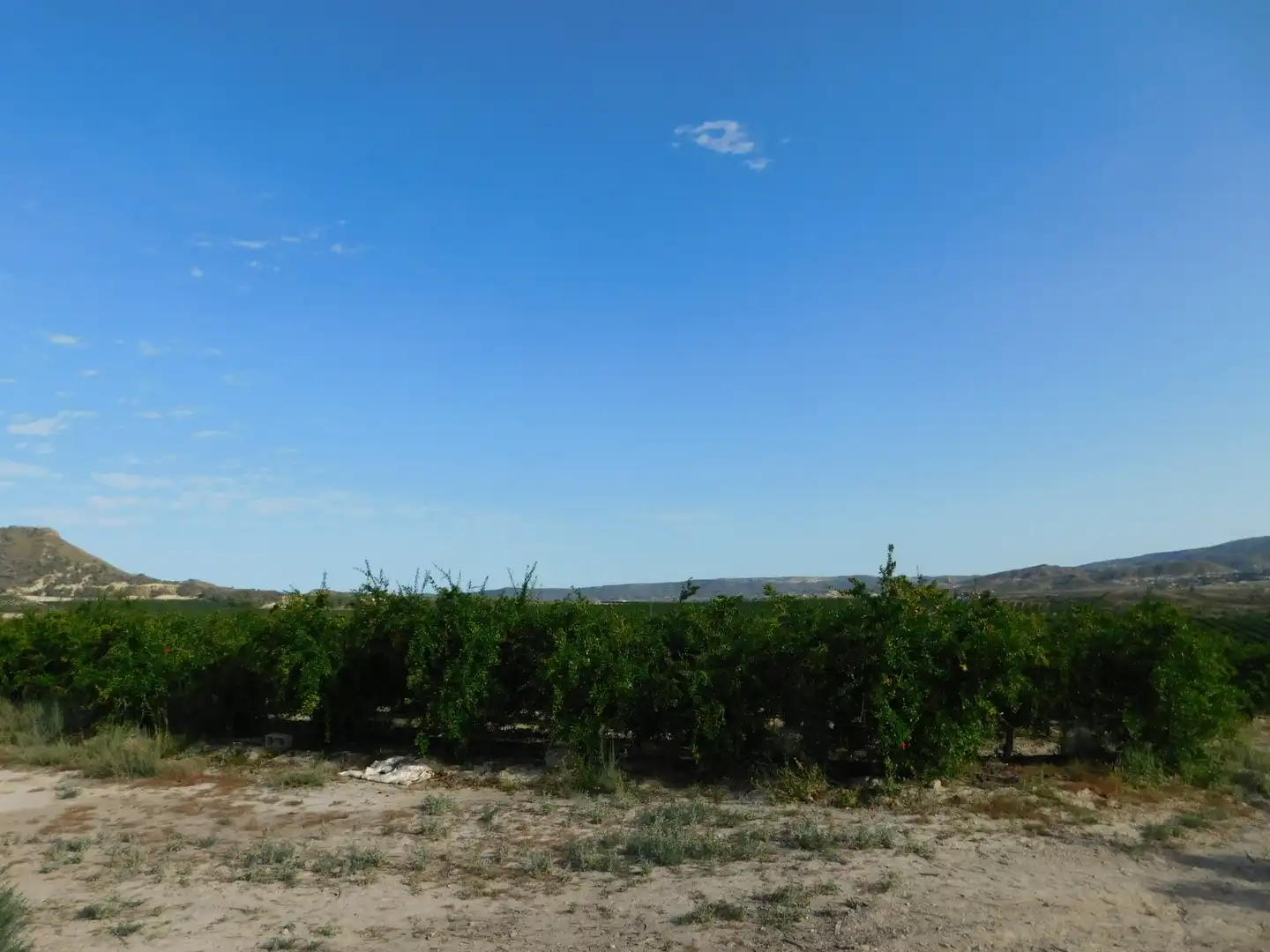 Terreno residencial en venta en San Miguel de Salinas, imagen 13