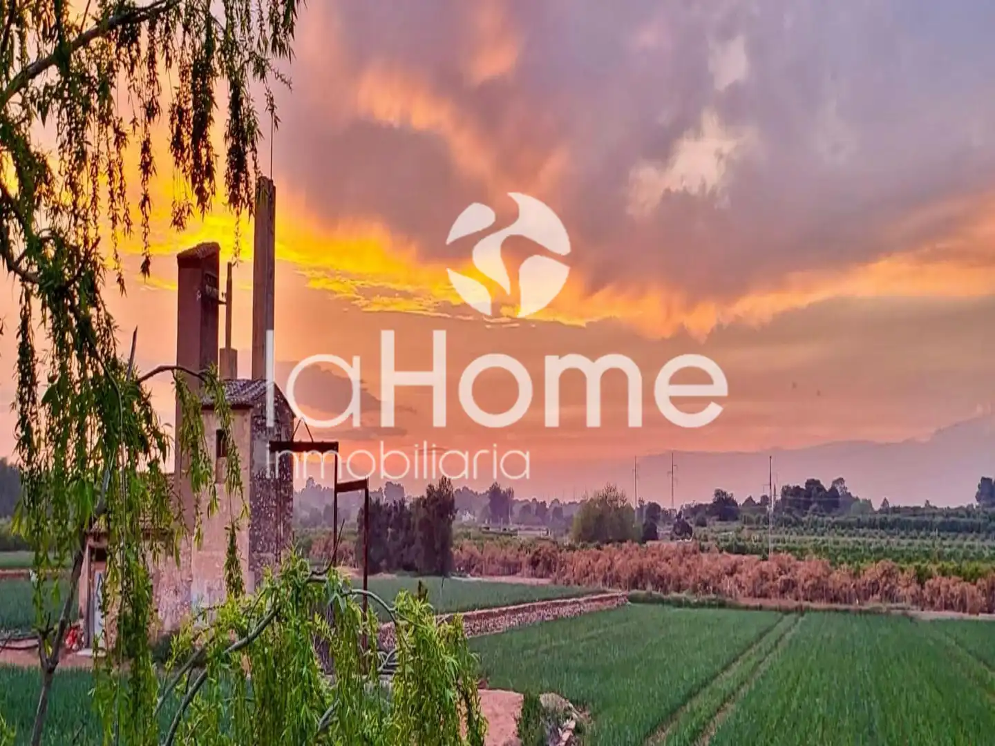 Houses for sale in Centro