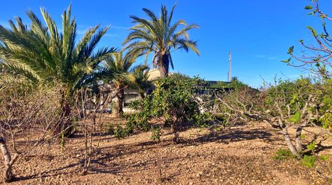 Foto 2 de Finca rústica en venda a Jubalcoi, Elche / Elx