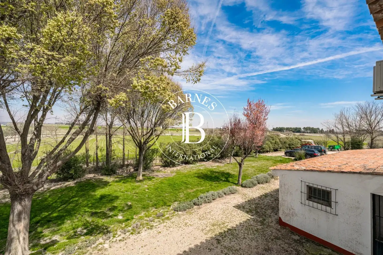 Jardín de Casa o chalet en venta en Alcázar de San Juan con Jardín privado, Piscina y Amueblado