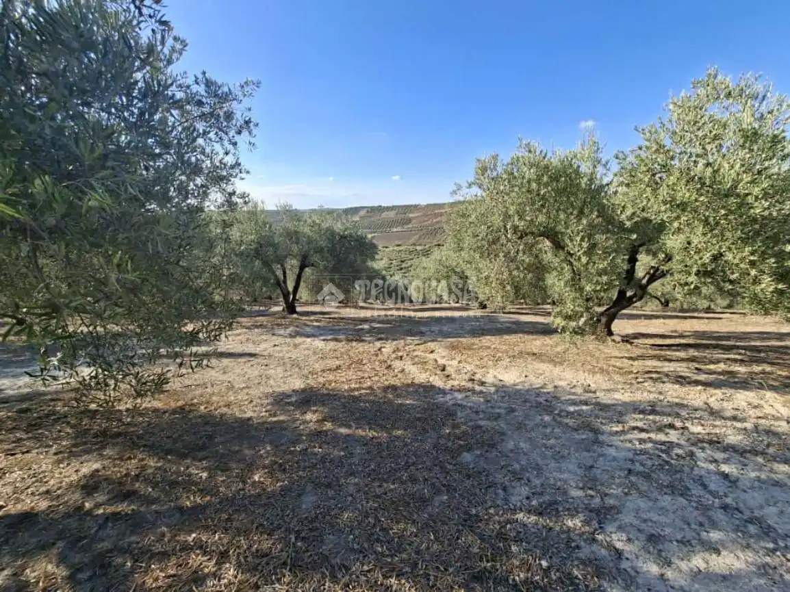 Terreno en venta en Montilla
