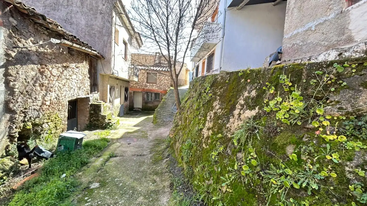 Vista exterior de Casa o chalet en venta en Molinicos