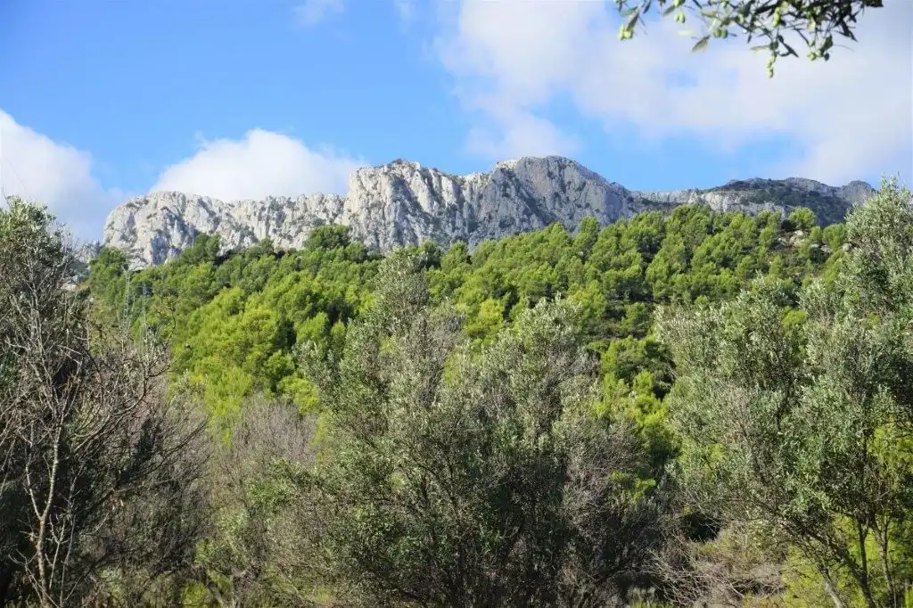 Exterior view of Land for sale in El Castell de Guadalest