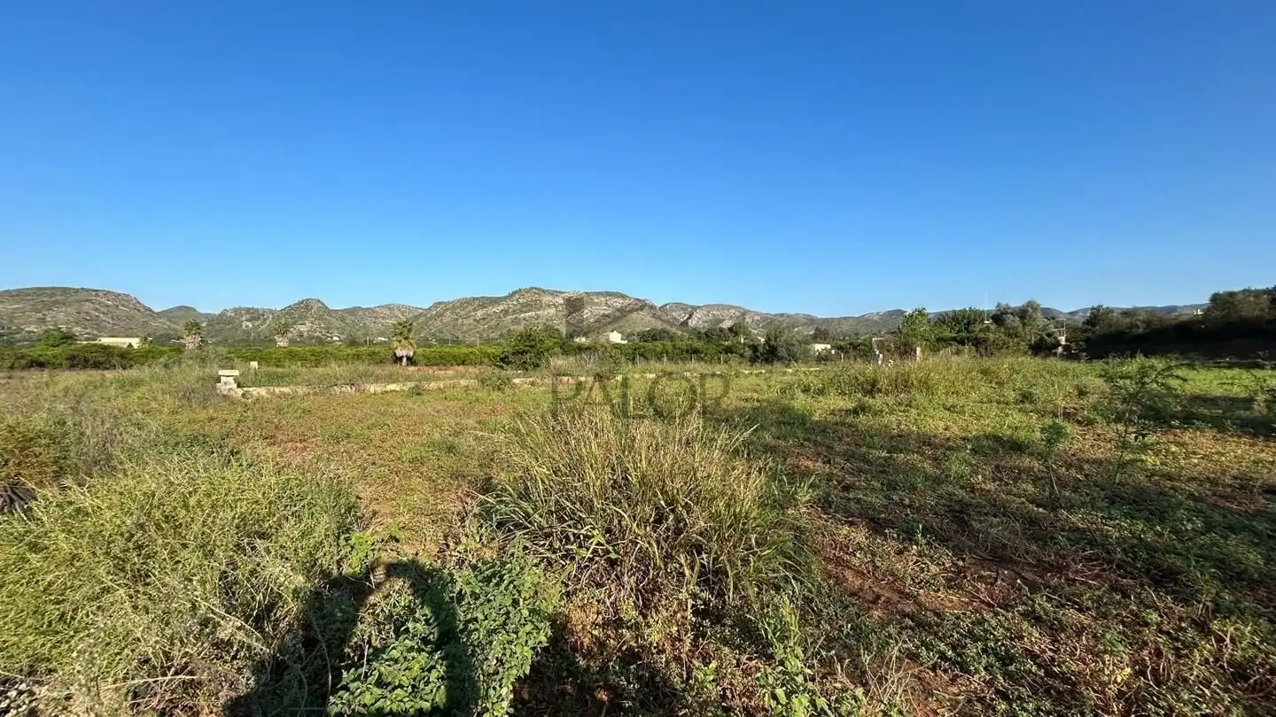 Terreno rustico in vendita a Carcaixent, imagen 4